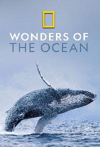 Wonders Of The Ocean